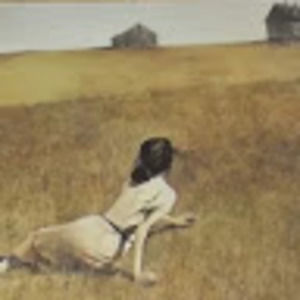 Meet your Posher, Carla